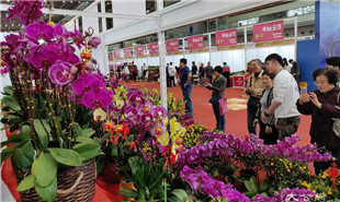 靠花卉引客，也靠“花外留客”