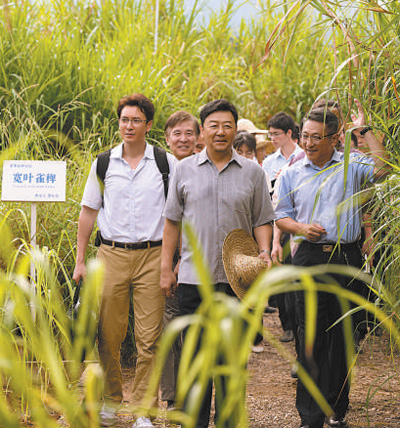 　　圖為電視劇《幸福草》劇照。 　　片方供圖